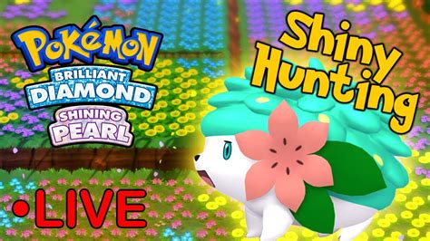 is shaymin shiny locked bdsp.